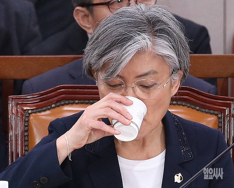 강경화 외교부장관