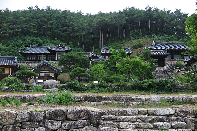 산기슭에 포근히 들어앉은 안동군자마을의 고택