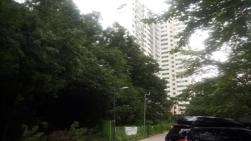 최근 논란이 되고 있는 정우현 전 엠피그룹(미스터피자) 회장 소유로 알려진 서울시 강남구 도곡동 산 29-51번지 필지