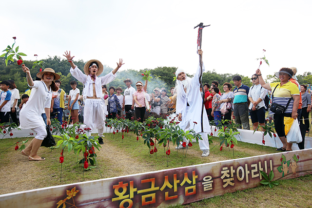 축제의 대표 프로그램 '황금산삼을 찾아라'를 즐기는 사람들 <사진제공=함양군청>