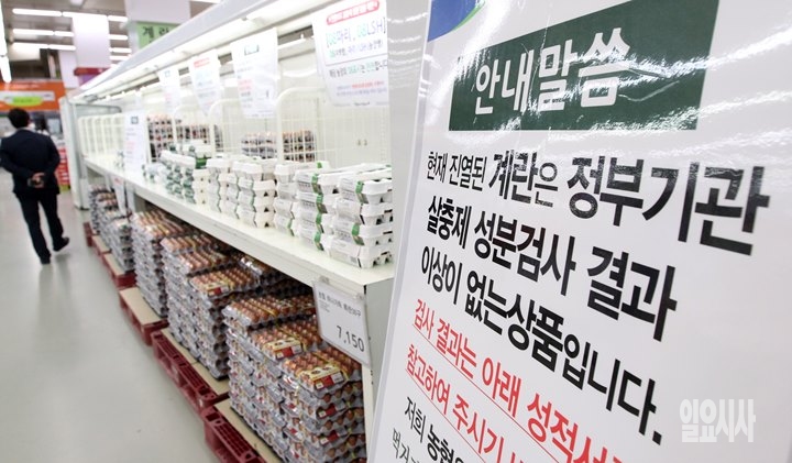 하나로마트에 전시된 계란들