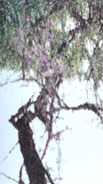 The tree 1701
