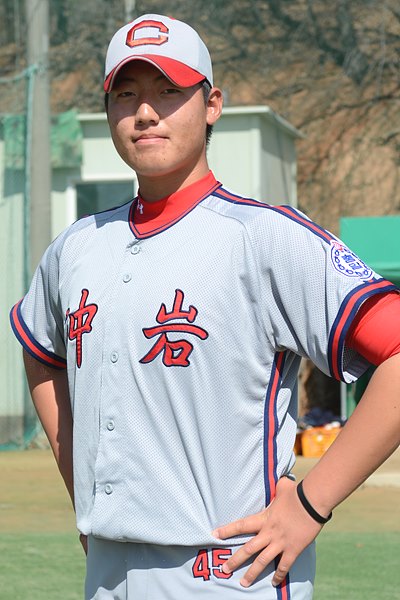 배세종