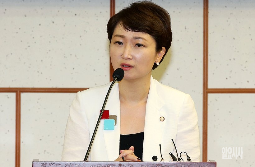 ‘댓글조작방지법’ 발의 예정인 이언주 바른미래당 의원