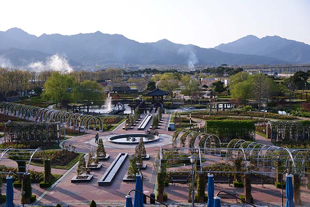 전망대에서 본 장미공원. 왼쪽 멀리 솟은 동악산이 곡성을 품고 있다.