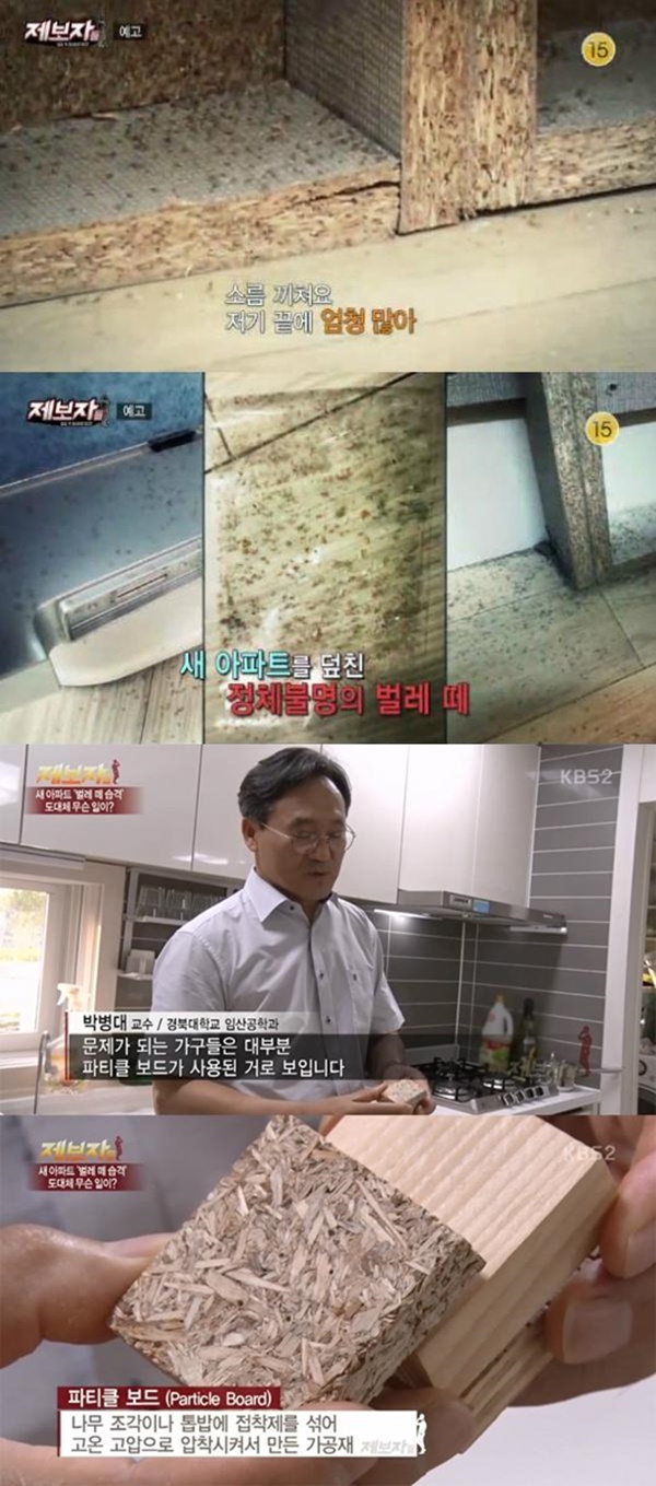 제보자들 벌레아파트 (사진: KBS)