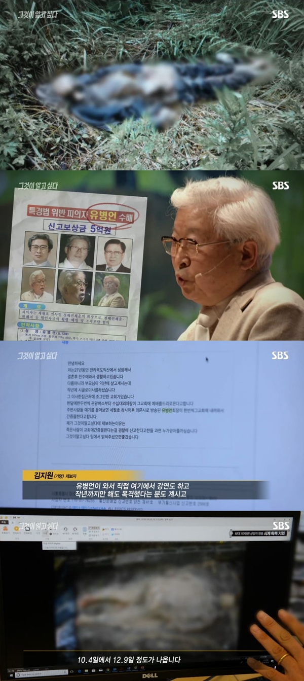 '그것이 알고 싶다' 유병언 (사진: SBS '그것이 알고 싶다')