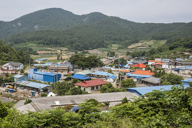 고 이청준 선생 소설에 묘사된 진목마을 전경