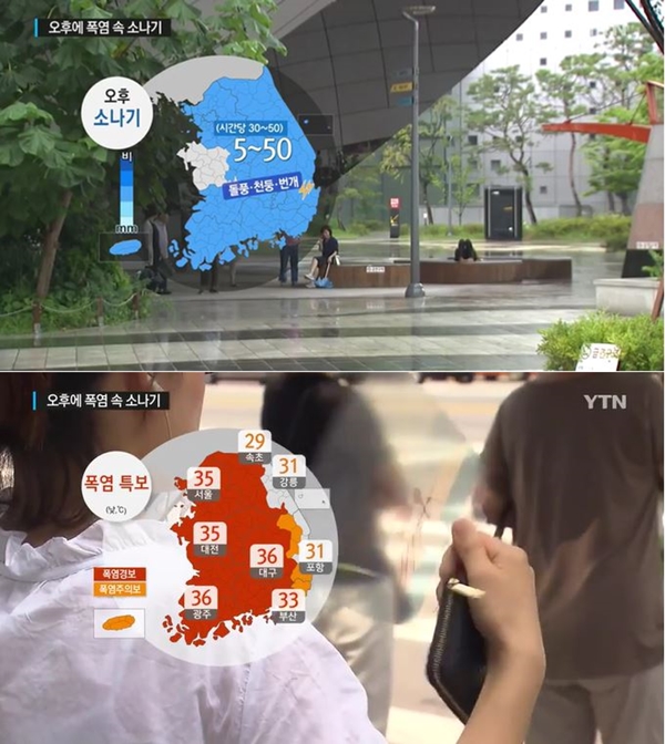 (사진: YTN 뉴스)