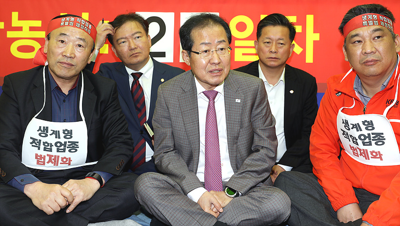 홍준표 전 자유한국당 대표