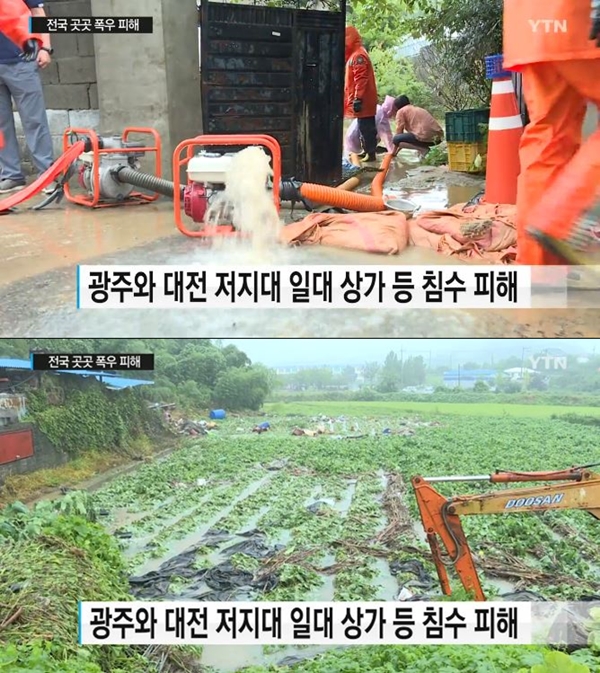 (사진: YTN 뉴스)