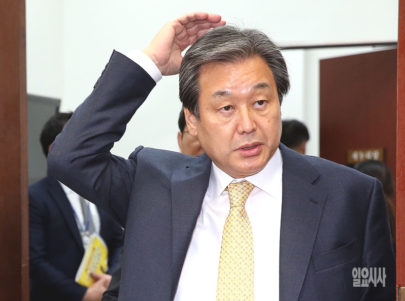 김무성 전 자유한국당 대표