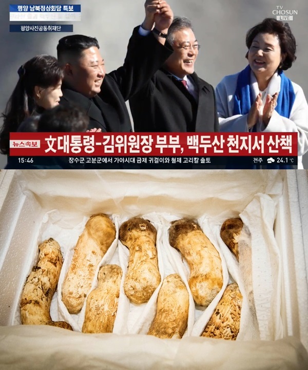 송이버섯 2톤 (사진: TV조선, 평양사진공동취재단)