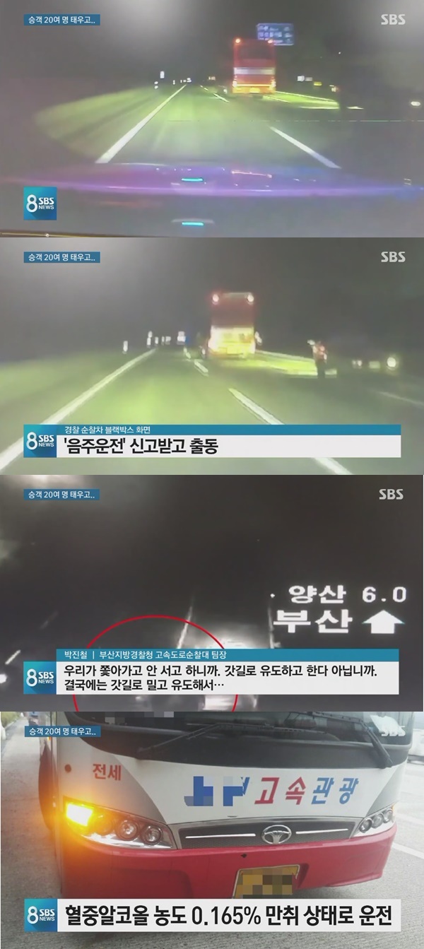 무면허에 만취까지 (사진: SBS 뉴스)