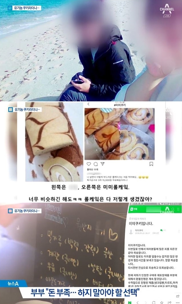 미미쿠키 논란 (사진: 채널A 뉴스 캡처)