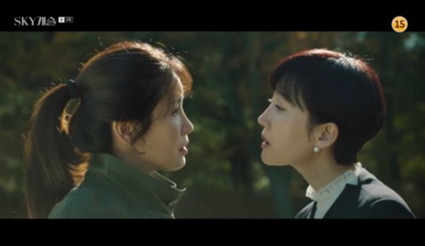 (사진: JTBC 'SKY(스카이) 캐슬') ▲ (사진: JTBC 'SKY(스카이) 캐슬')