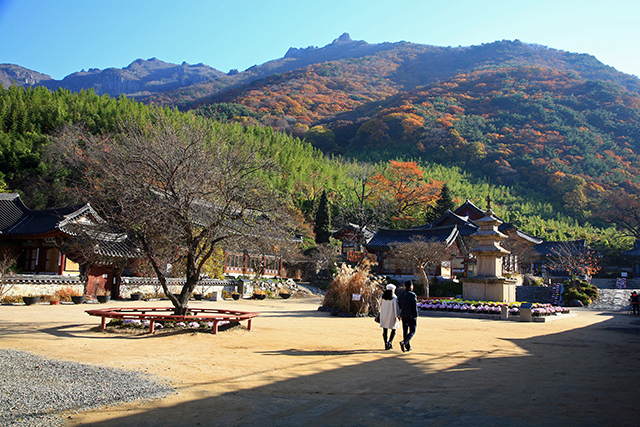 원효대사가 창건한 천년 고찰, 표충사 경내 ▲ 원효대사가 창건한 천년 고찰, 표충사 경내