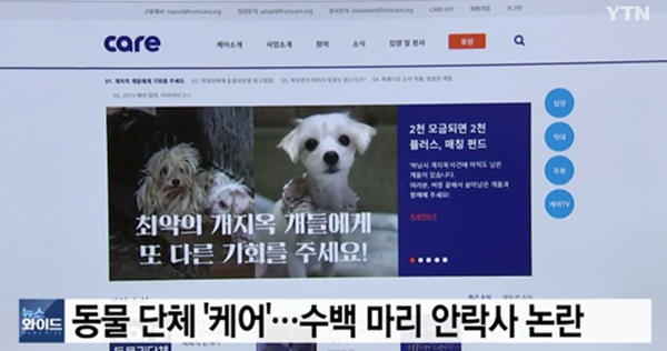 (사진: YTN 뉴스) ▲ (사진: YTN 뉴스)