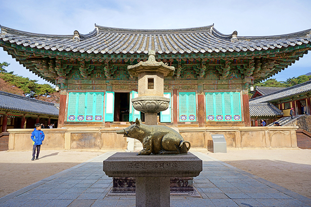 경주 불국사에 있는 극락전 복돼지상 ▲ 경주 불국사에 있는 극락전 복돼지상