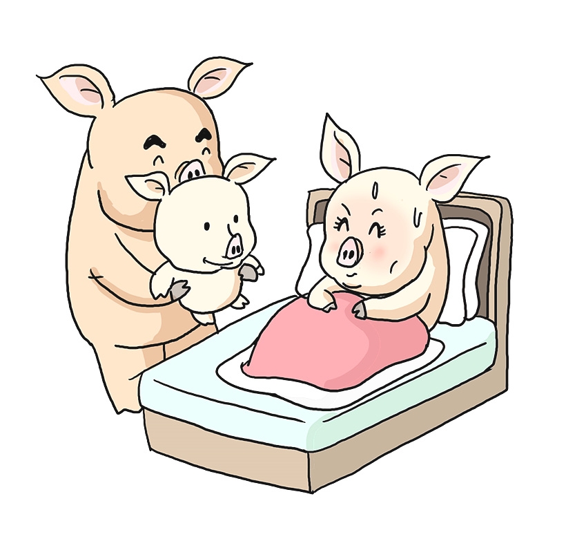 돼지새끼를 낳는 꿈