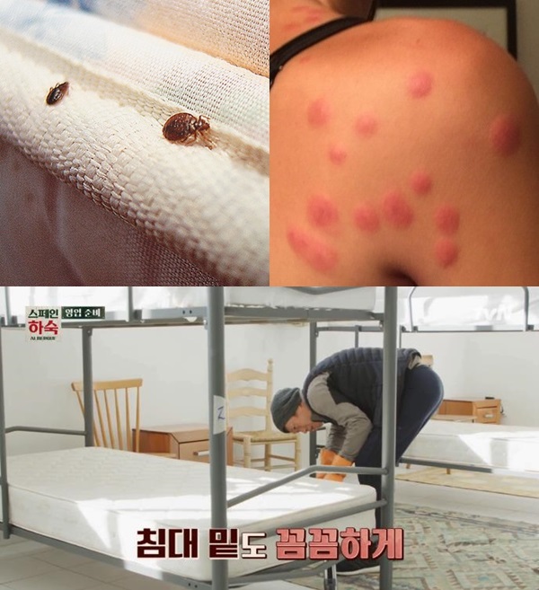 스페인 순례자의 길, 베드버그 (사진: tvN 스페인 하숙, 구글) ▲ 스페인 순례자의 길, 베드버그 (사진: tvN 스페인 하숙, 구글)