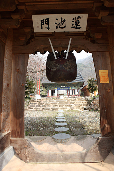 머리로 치는 커다란 목탁이 걸린 연지문 뒤로 극락전이 보인다. ▲ 머리로 치는 커다란 목탁이 걸린 연지문 뒤로 극락전이 보인다.
