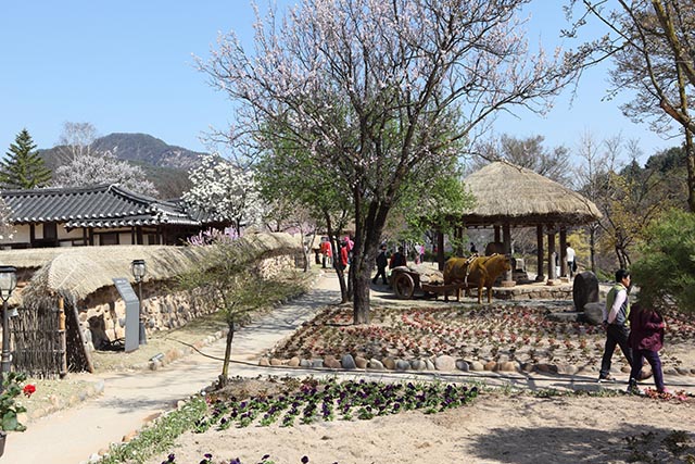 충주댐 건설로 수몰되기 전, 마을 사람들이 살던 집과 문화재를 볼 수 있는 청풍문화재단지 ▲ 충주댐 건설로 수몰되기 전, 마을 사람들이 살던 집과 문화재를 볼 수 있는 청풍문화재단지