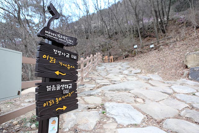 청풍호반과 정겹게 어우러진 산촌을 둘러보는 청풍호자드락길 ▲ 청풍호반과 정겹게 어우러진 산촌을 둘러보는 청풍호자드락길