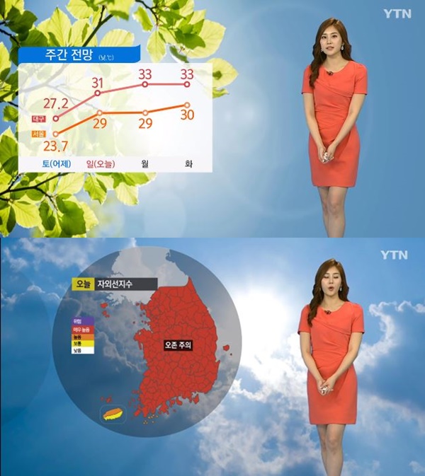 (사진: YTN 뉴스) ▲ (사진: YTN 뉴스)