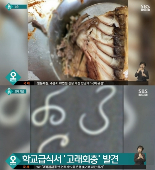 (사진: SBS 뉴스) ▲ (사진: SBS 뉴스)