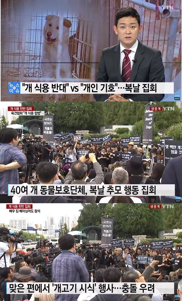 초복, 중복, 말복 (사진: YTN 뉴스 캡처) ▲ 초복, 중복, 말복 (사진: YTN 뉴스 캡처)