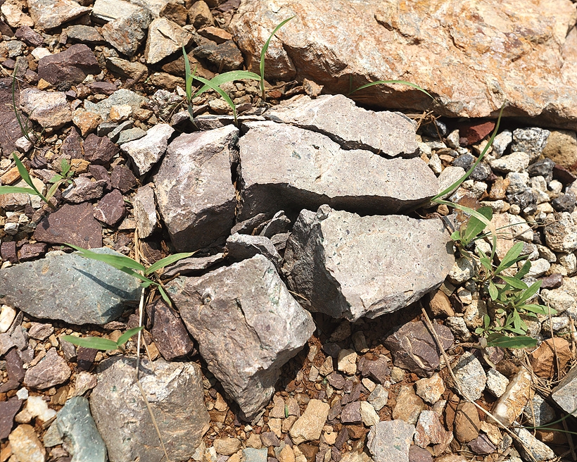 The Stones of the 37°11´34.2N 126°39´37.3E, 2018 ▲ The Stones of the 37°11´34.2N 126°39´37.3E,2018