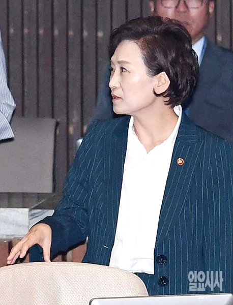 김현미 국토교통부장관 ▲ 김현미 국토교통부장관
