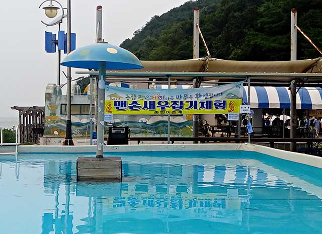 6월 말부터 8월 말까지 운영하는 간이 수영장 <사진제공: 종현어촌체험마을> ▲ 6월 말부터 8월 말까지 운영하는 간이 수영장 <사진제공:종현어촌체험마을>