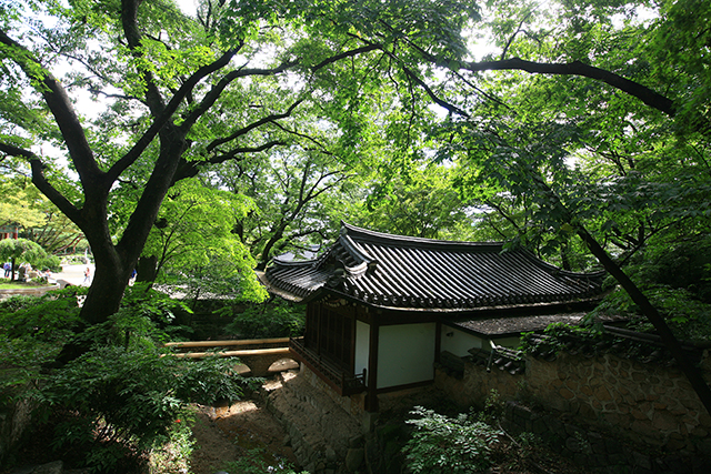 ▲ 울울한 숲에 자리한 길상헌