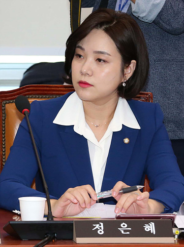 더불어민주당 내 최연소로 정계에 입문한 정은혜 의원 ▲ 더불어민주당 내 최연소로 정계에 입문한 정은혜 의원