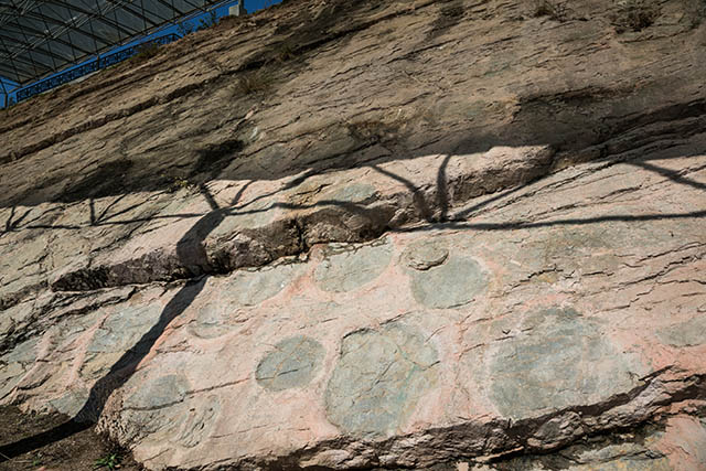 ▲ 중생대 백악기 공룡 발자국 화석 316개가 있는 의성 제오리 공룡발자국화석 산지