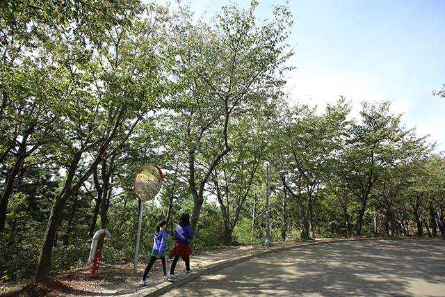 주차장에서 울산대교전망대까지 산책 삼아 걷기 좋다. ▲ 주차장에서 울산대교전망대까지 산책 삼아 걷기 좋다.