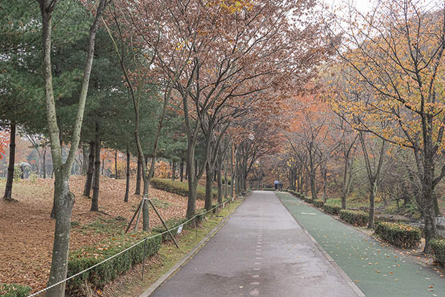 운치 있는 율동공원 산책로 ▲ 운치 있는 율동공원 산책로