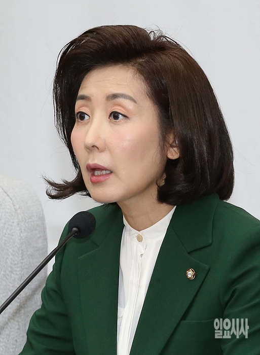 나경원 자유한국당 의원 ▲ 나경원 자유한국당 의원