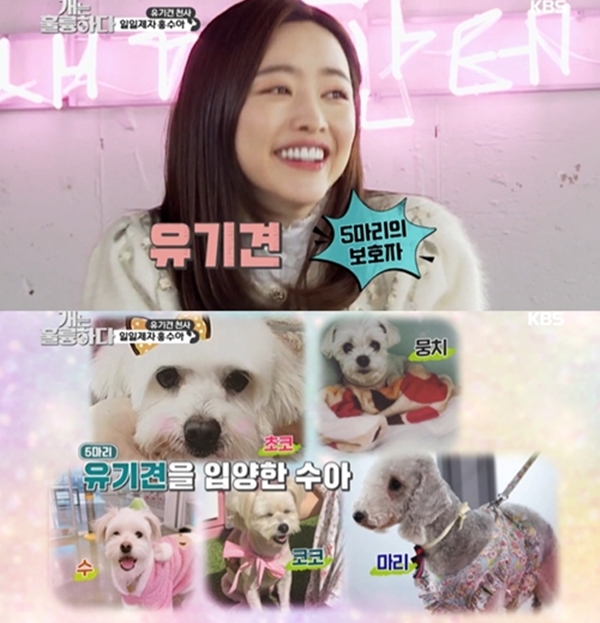 홍수아 (사진 : KBS ‘개는 훌륭하다’) ▲ 홍수아 (사진 : KBS ‘개는 훌륭하다’)