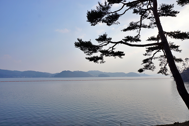 한적한 예당호 풍경 ▲ 한적한 예당호 풍경