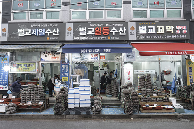 꼬막이 넘쳐나는 벌교시장 ▲ 꼬막이 넘쳐나는 벌교시장