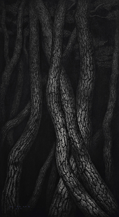 달빛 MOONSCAPE, 162×90(cm), Charcoal on Canvas, 2011 ▲ 7. 달빛 MOONSCAPE, 162×90(cm), Charcoal on Canvas, 2011
