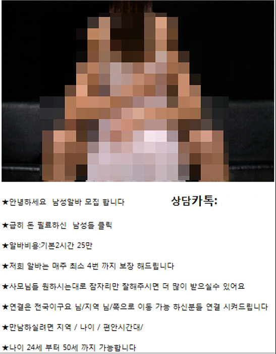 실제 피싱 알바 글