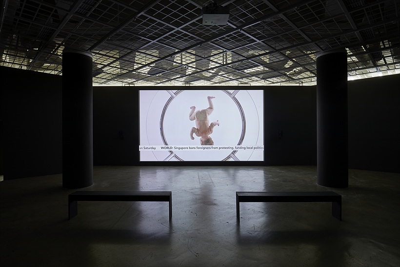 Camille Henrot_34 ▲ Camille Henrot_34