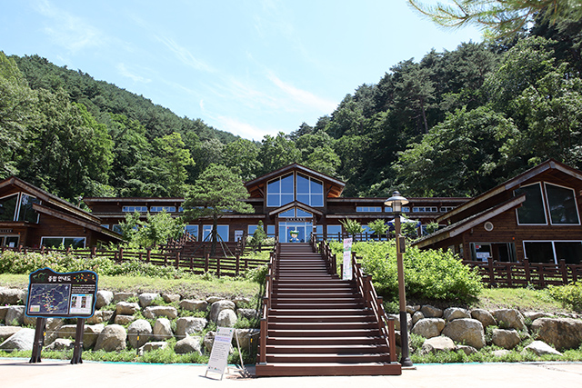 국립대관령치유의숲 치유센터 전경 ▲ 국립대관령치유의숲 치유센터 전경