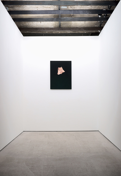 허망한 수사들 Futile Rhetorics, 2020, Korean color on linen, 68.4x50.7cm ⓒ 2020 Jinju Lee ▲ 허망한 수사들 Futile Rhetorics, 2020, Korean color on linen, 68.4x50.7cm ⓒ 2020 Jinju Lee