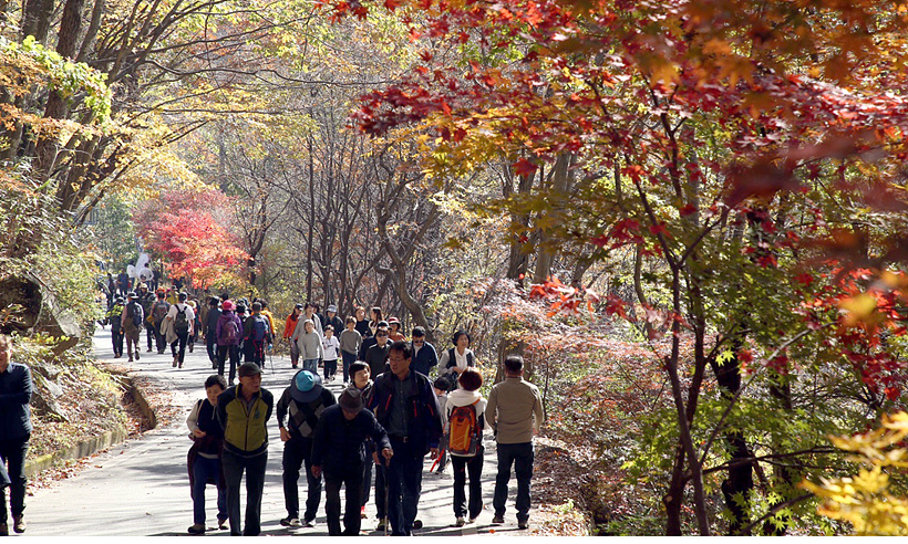 붉게 물든 지리산 ▲ 붉게 물든 지리산