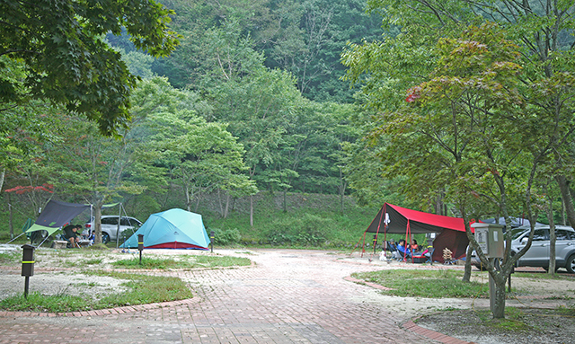 자동차야영장의 호젓한 풍경 ▲ 자동차야영장의 호젓한 풍경